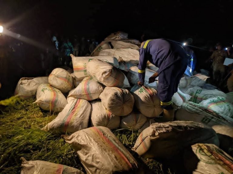 Plus de 4 tonnes de cannabis saisies à Magba, à l’Ouest Cameroun