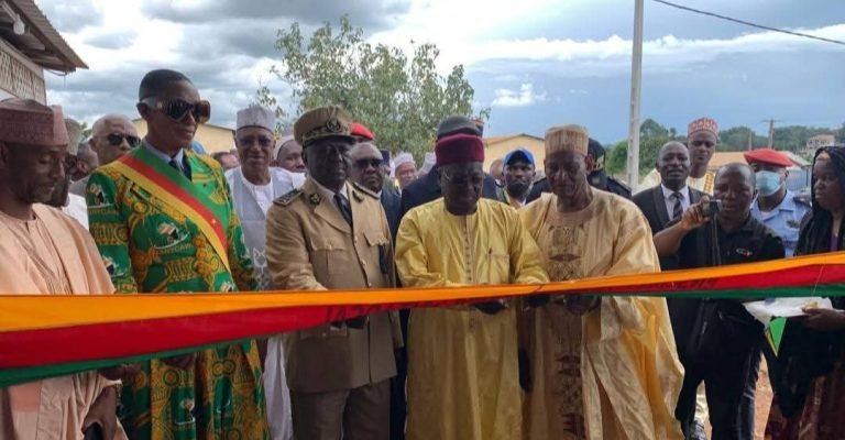 Économie locale: La production laitière quotidienne passe de 1500 à 5000 litres à Ngaoundéré