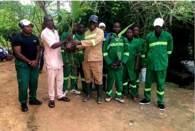 Formation et insertion professionnelle : Ébolowa forge ses élèves à l’agriculture