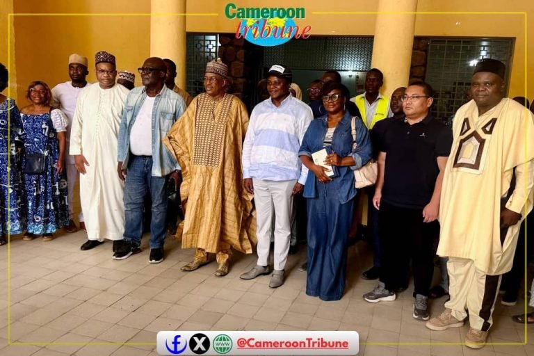 Accès à l’eau potable : La ville de Garoua bientôt approvisionnée sans relâche