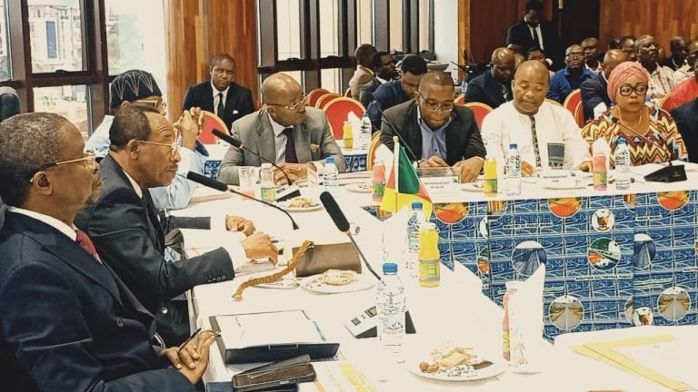 Infrastructures routières : De Yaoundé à Douala, le Mintp prescrit l’accélération des travaux pour fluidifier la circulation urbaine et celle interurbaine