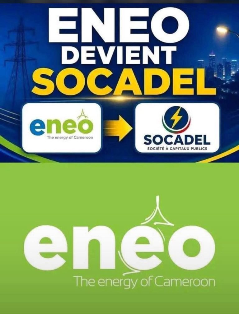 Distribution et commercialisation de l’électricité au Cameroun : La Socadel remplace Eneo